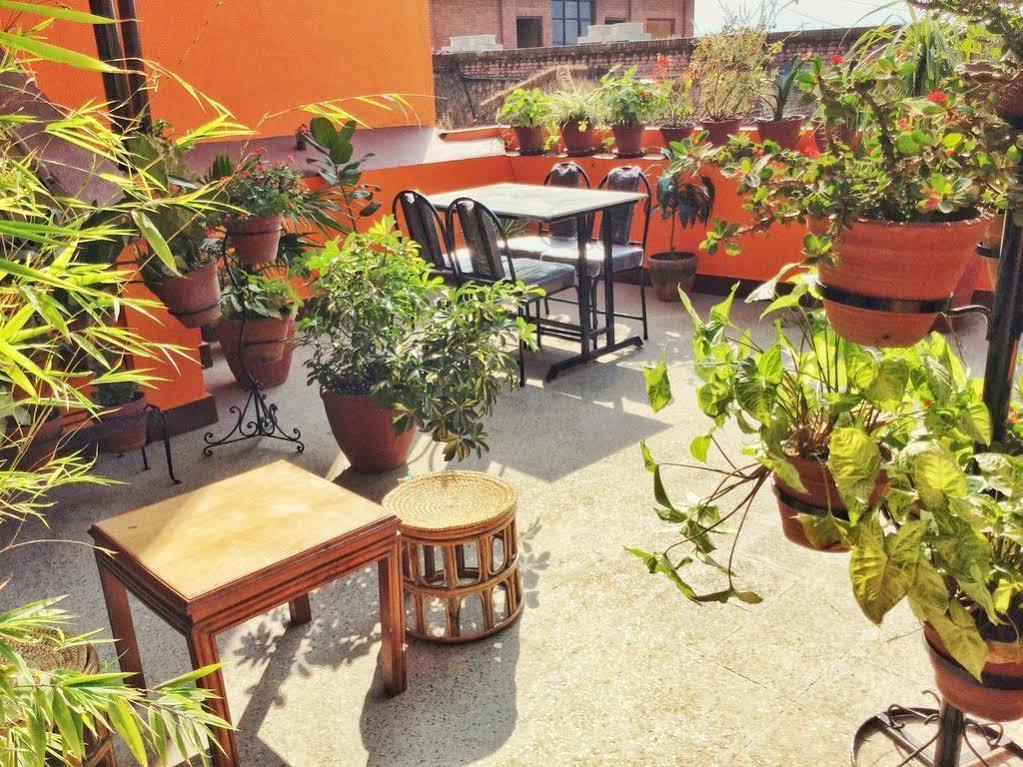 Trekkers Home Katmandu Dış mekan fotoğraf